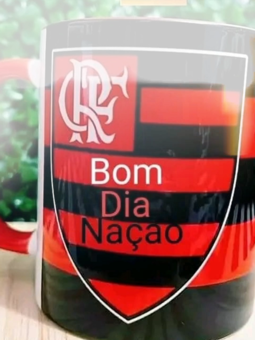 bom dia nação flamenguista 🇧🇷🌵⚽🙀✌️