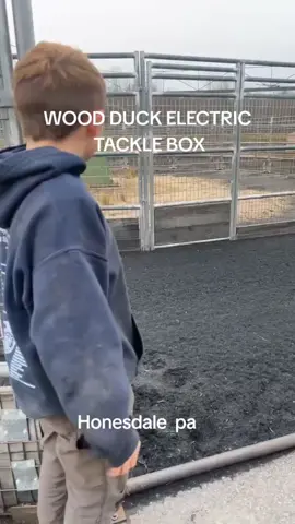 #memes #funny #horse #race #fyp