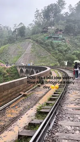 Nine Arch bridge #ella #ellaninearchesbridge #ninearchbridgesrilanka #srilanka 