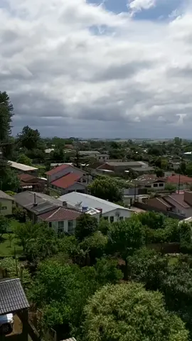 View of the office on my Sunday...