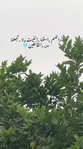 #دعاء_يريح_القلوب #دعاء_جميل #دعاء_مستجاب #دعاءـالمطر 