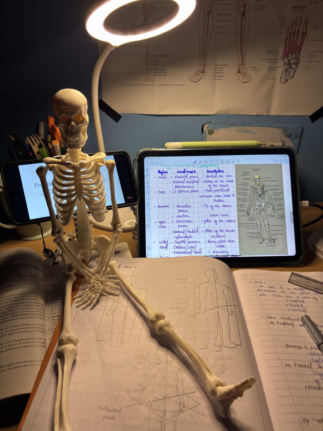 🩵🩵. #كلية_الطب #طب  #nursing #طب_بشري 