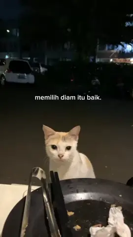 #katakatamotivasi #katakatasadvibes #katakatasad🥀🙂berandatiktok #fypppppppppppppppppppppppppppppp #promoseruweekend 