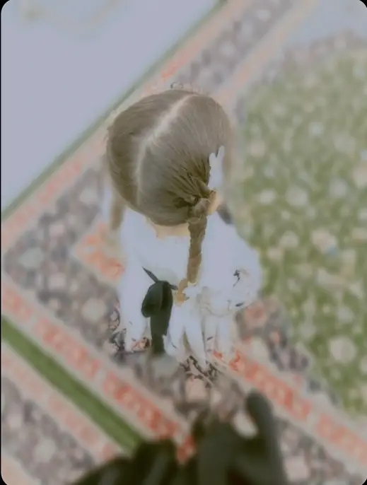 #مرقد_الامام_الحسين_عليه_السلام  #يقين³¹³