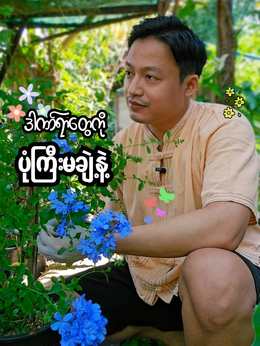 ဒါဏ်ရာတွေကို ပုံကြီးမချဲ့နဲ့ 📷📷  #drmyoe #yourmyoe