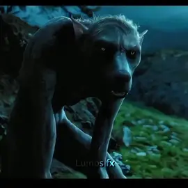 the way he protected the golden trio #snape #harrypotter #malfoy #ron #hermoine 