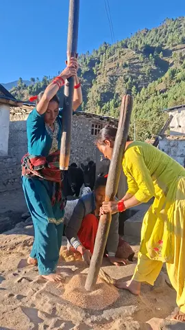 #धान कुटाइ #हुम्लिबुहारी🌺 #humla 