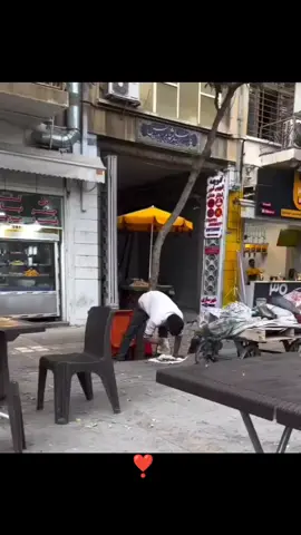 ...Ero al mercato, in mezzo al trambusto del comprare e vendere, e ho visto un uomo con un carretto a mano che raccoglieva gli scarti. Portava con sé un cucciolo nel carretto. In quel trambusto, la mia attenzione è stata attirata dal cane. Lo stavo osservando quando l'uomo è andato a prendere delle ossa dal kebab ed è tornato. Ha frantumato le ossa colpendole con una pietra. Poi le ha raccolte. Si è avvicinato al cucciolo che portava con sé e ha iniziato a dargli da mangiare. Ero completamente sbalordito. Non riuscivo più a sentire il trambusto del mercato. Era davvero un uomo gentile, una persona perfetta, onorevole e gentile. Ora mi sentivo povero. In cambio, volevo implorarlo di darmi un po' dell'amore che era in quest'uomo. Il mondo è un posto strano. Più una persona è gentile e umana, più è crudele. Più una persona è umile e coscienziosa, più è libera.❣️