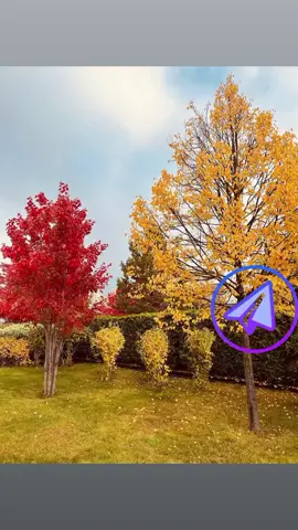 Готов начать? #работадома #пенсионеры #онлайнбизнес 