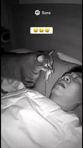 When your cat brings you a ‘gift’ while you’re sleeping 😭🐭😂 #FunnyCat #CatLover #SleepFail #PetPranks #ViralShorts