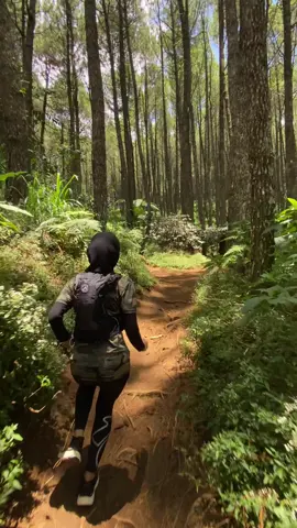 orang lama ngira sama yg baru, orang baru ngira sama yg lama, orang kita lagi lari✌🏻 #trailrun #trailrunning #gunung #fyp #foryou 