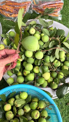 @09-88-110-126#thaoduocthiennhien #xuhuongthinhhanh #bothantrangduong 