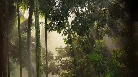 Phông bạt lớn nhất của bản thân đó chính là sự vui vẻ và tích cực, nhưng thật ra bên trong đã vụn vỡ rất nhiều #mua #vunvo #cuocsong #sunny