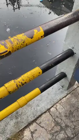 #campjava67 #stmsejabodetabek 