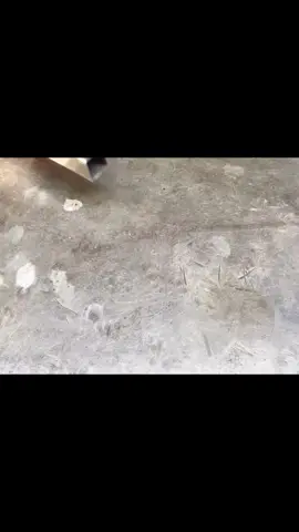 An amazing DIY tool you'll wish you knew about sooner!