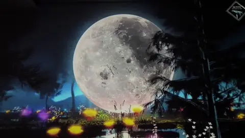 Cảnh vậy chắc gặp chị hằng quá tarrrr #maychieu #maychieuz8flyv2 #vinahouse #maychieudicanh #visual 