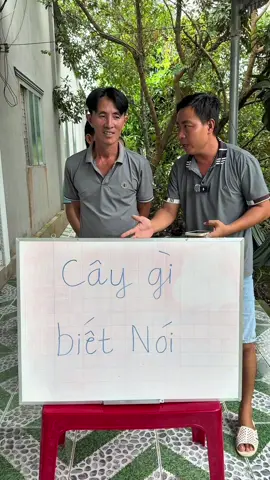 Cây gì biết nói #phuoclay 