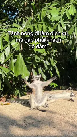 #vinpearlsafariphuquoc #dulich 