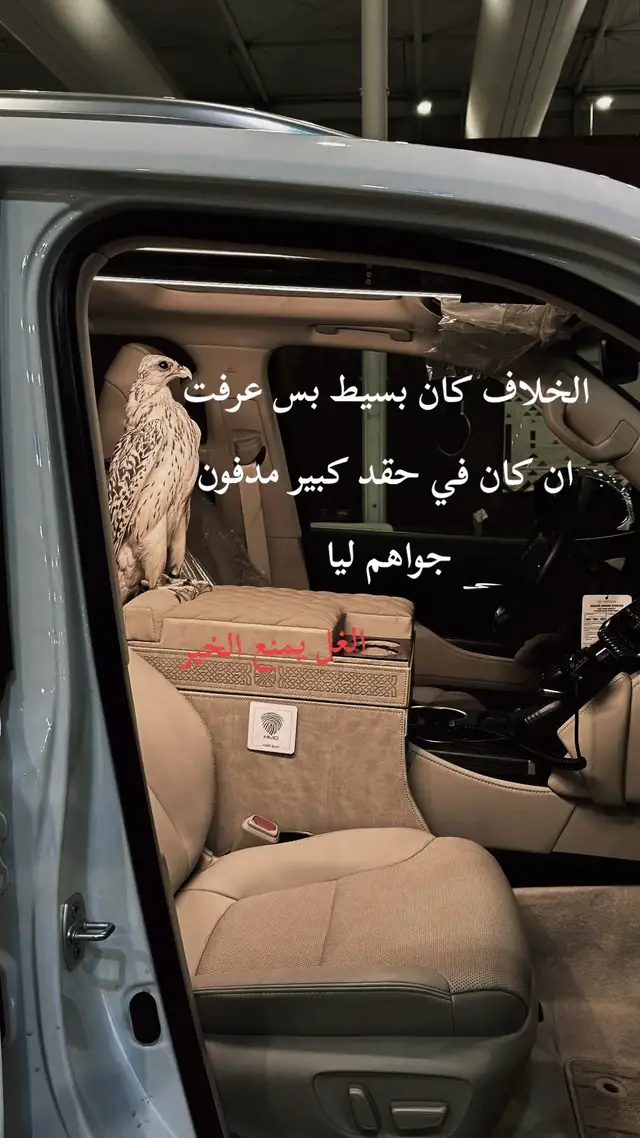 #الثقه_بالله_نجاح #اقتباسات #اكرفلهم 