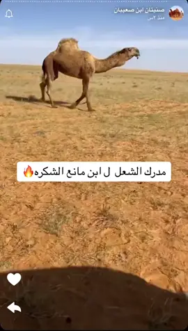 #ال #مانع #الشكره #الدوسري #ليك______🖤___متابعه____اكسبلووور #الشعب_الصيني_ماله_حل😂😂 