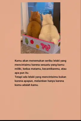 #katakatasedih #katakatabijak #fyp #viral #laguindia 