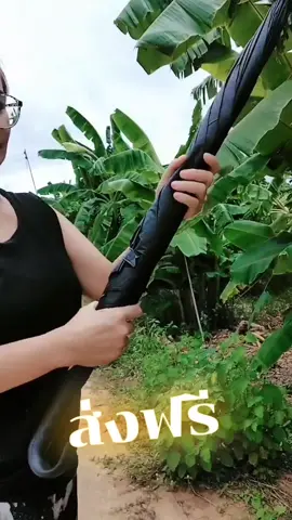 #ร่ม #ร่มกันแดด #แม่โจ้ของดีกินอร่อยบอกต่อ #Ai #นายหน้าtiktokshop 