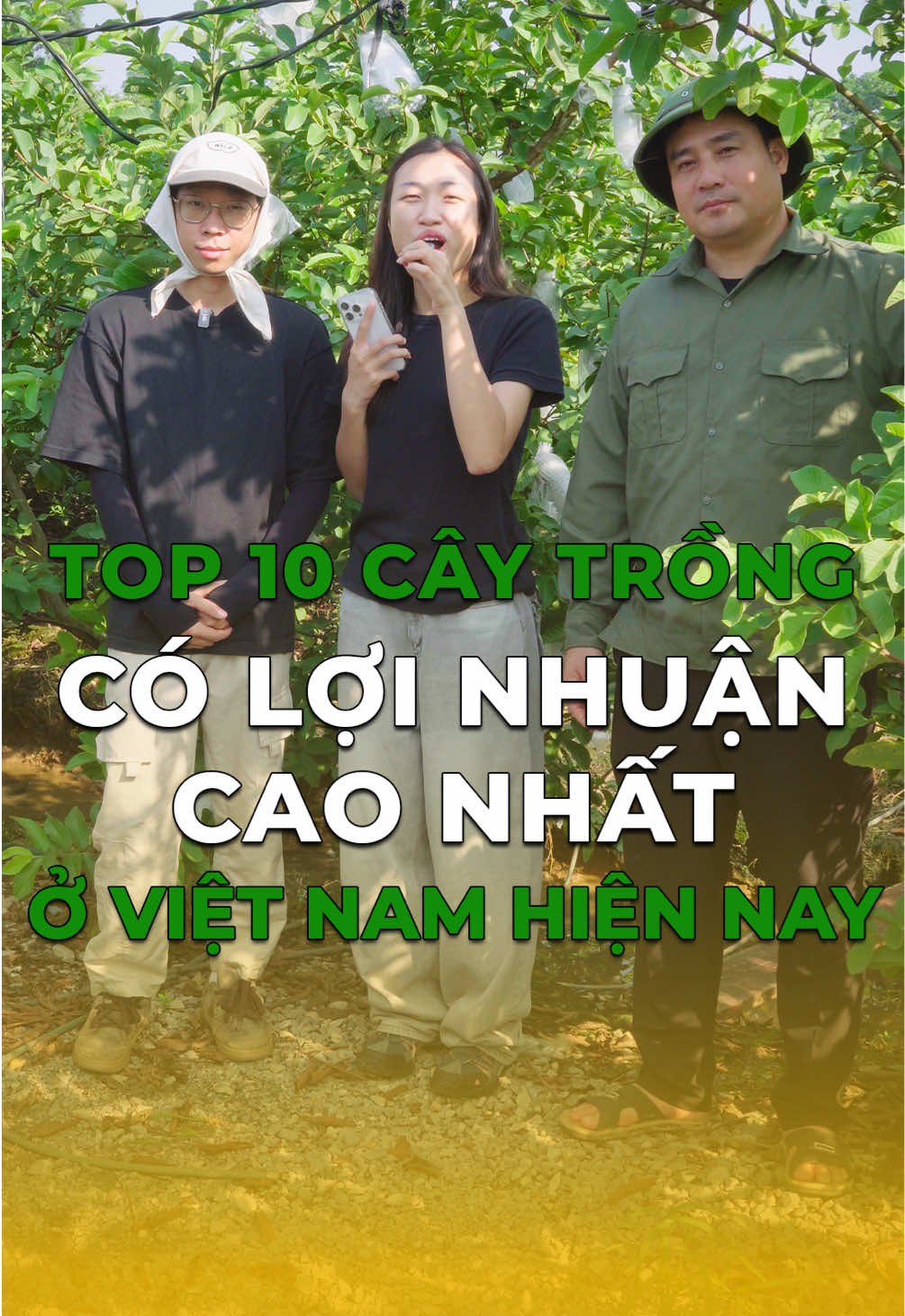 Top 10 cây trồng có lợi nhuận cao ở Việt Nam #top10 #anhducnongdan #bophoveque #fyp #nongsansach 