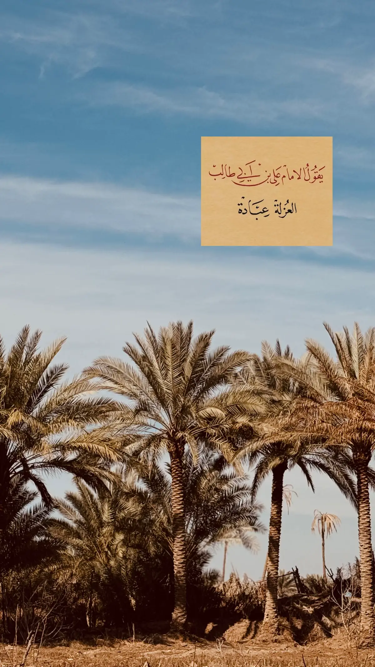 #امجد #foryou #fyp #iraq #الامام_علي_بن_ابي_طالب 