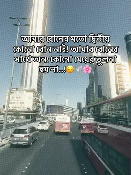 আমার বোনের মতো দ্বিতীয় কোনো বোন নাই! আমার বোনের সাথে অন্য কোনো মেয়ের তুলনা হয় না..!☺️🕊️🌸 #amarbon #sahed777_ff #sahed777_ #amarbon #sahedkuwait 