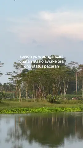 kisahmu bolo? #ngopico #kopiviral #nyore #ngopi #malang 