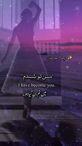 undeniable love for this lungauge....💜💕💜 . . . #fyppppppppppppppppppppppp #persian #farsi #persianmusic #lyrics 