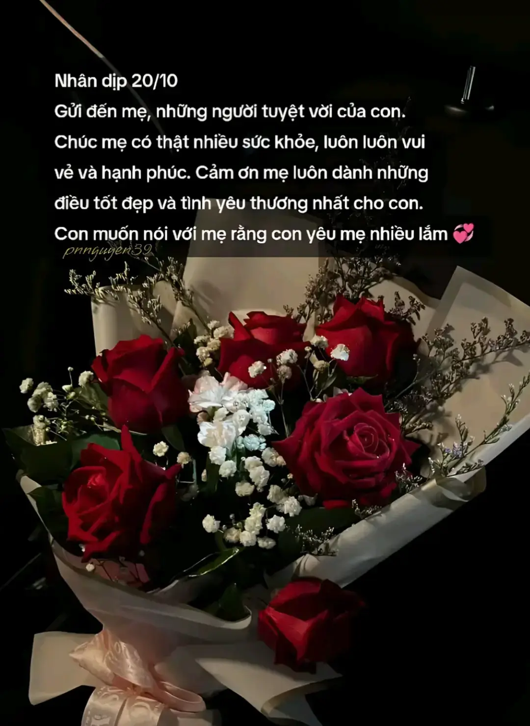 Con yêu mẹ ❤️  #pnnguyen39 