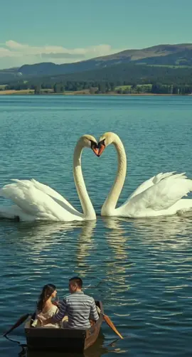 #CapCut #CapCut #flypシ #viral 