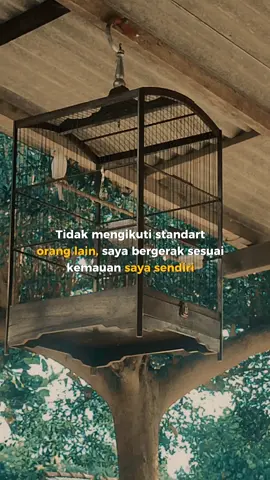 masih dijalur kenari mania #kenarimania #kicaumaniaindonesia #kenariscootfanchy  #kenarimaniaindonesia #ternakkenaripemula