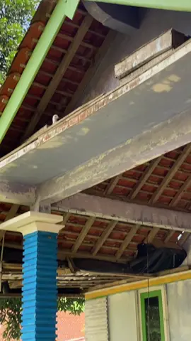 resik resik#fyppppppppppppppppppppppp #purbalingga #beat #bismillahfyp 