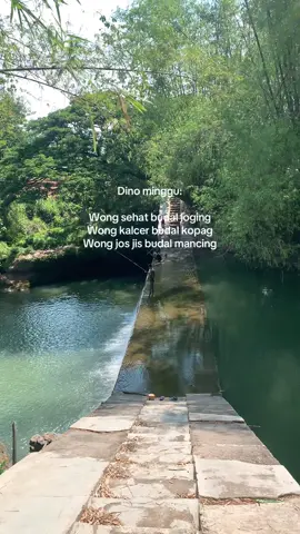#promoseruweekend #dambogem #fyp #masukberanda #magetan24jam @gikkk 