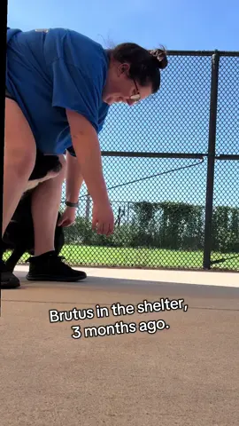 May this month be his month👀! #universityofoklahoma 