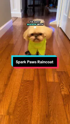 @SPARK PAWS dog raincoat 🩵Charlie is wearing a size medium in this raincoat at 8.2 lbs. #sparkpaws #dograincoat #happydog #dogclothes #PetsOfTikTok 
