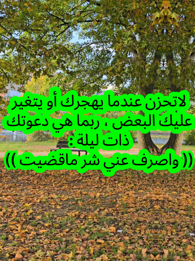 #حكمة  #أستراليا #كندا🇨🇦vsالسودان🇸🇩هولندا🇳🇱 #أقوال #الوحدة 