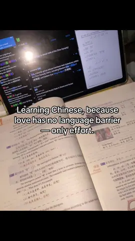 Love made me open my heart, and now it’s teaching me s new language #chinelanguage#hsk1