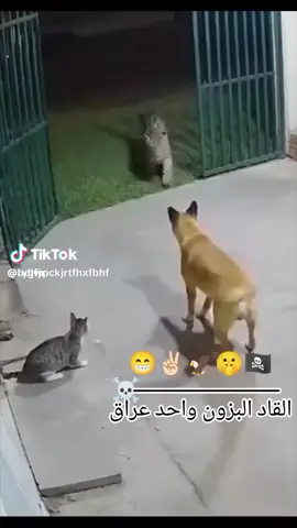 #ياعلي_ياحسين_يامهدي #ياعلي_ياحسين_يامهدي #ياعلي_ياحسين_يامهدي #ياعلي_ياحسين_يامهدي #ياعلي_ياحسين_يامهدي 