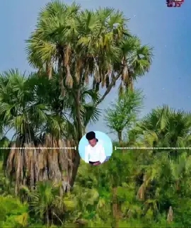 #اسو اسوي اوري فور #####