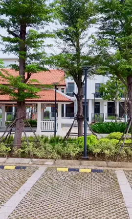 thành phố ẩm thực T&T City Millennia #millennia #longhau 