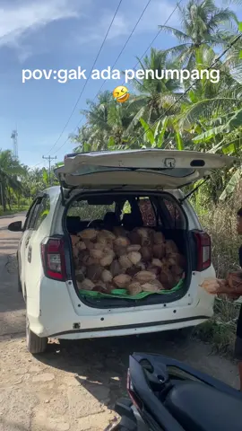 kelapa pun jadi😂😂#fyp#travelpontianak#kelapabalap🌴🥥#funkot 