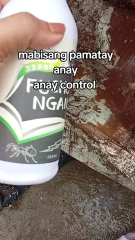 #mabisangpamatayanay #panganay #pangpataysaanay #anaycontrol #anay 
