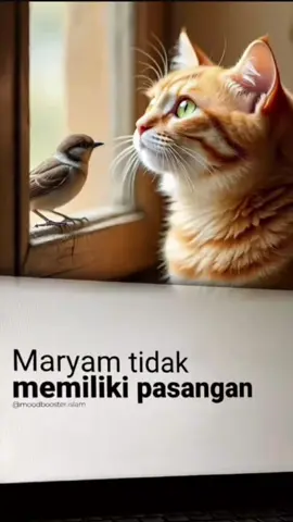 ###apakah kisahku seperti Ibunda Aisyah ##### fyppppppppppppppppppppppp ###Ya Allah####Apapun kisahku tolong berikan sedikit ruang kebahagiaan, bukan aq tidak bersyukur atas nikmatmu selama ini,,tapi tolong jangan engkau persulit tujuan q ####INDONESIA #hongkong #malanghits #Malang #Batu #Blitar ###taiwan ###hongkong ####bandarasurabaya✈️ ###