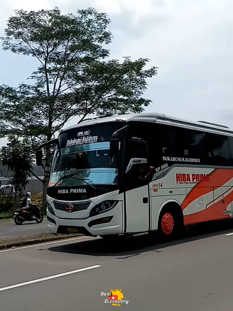 Pulih dari sakitnya 😀.. | HIBA PRIMA. HPS-14 (Sukabumi - Kalideres) 😎 #fypage #fyppppppppppppppppppppppp #fyp #hibaprimasukabumi #hibagroup 