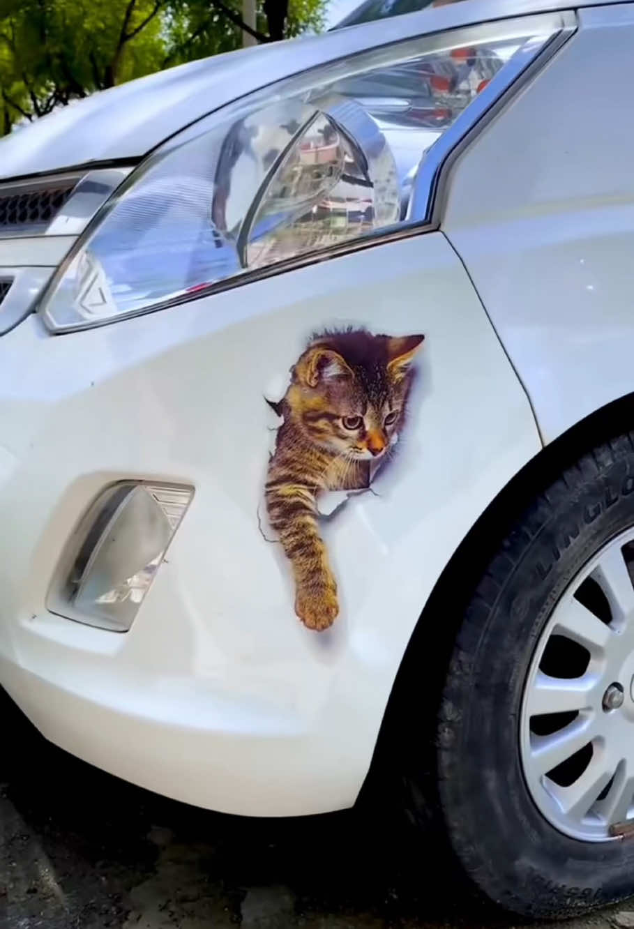 Trm dán decal 3D#temdandecal #temdanxe #temdanmeo3d#decoroto #oto 