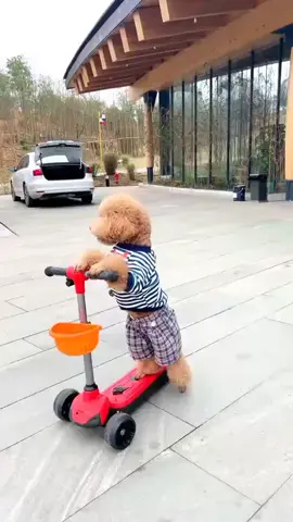 #cumasekedarhiburan😂🙏 #kontenhiburan✌️✌️🙏 