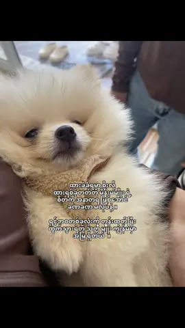 #foryourpage #fypage #fypシ゚ #viraltiktok #crdtext 